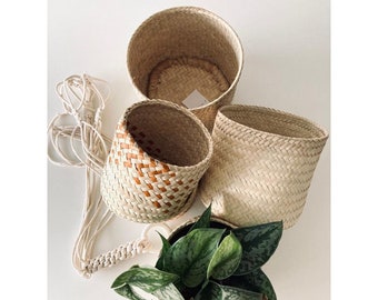 Fluted Plant Pot Etsy