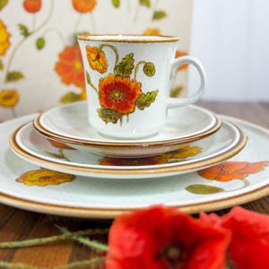 Mikasa Natural Beauty California Poppies C9051 - Etsy