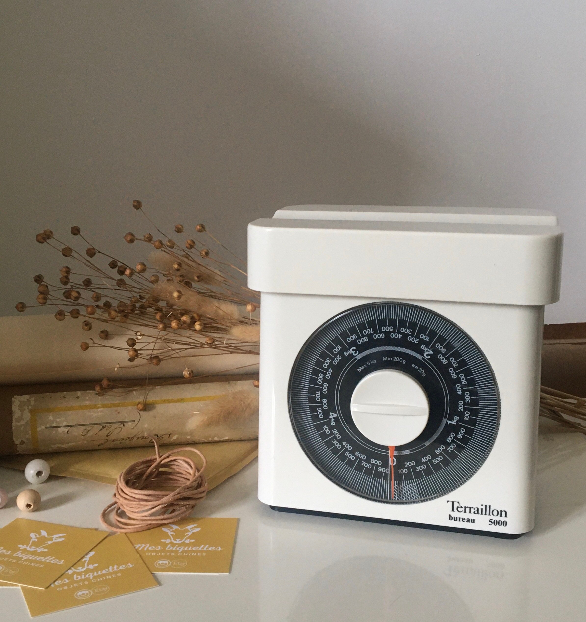 Balance Terraillon 5000