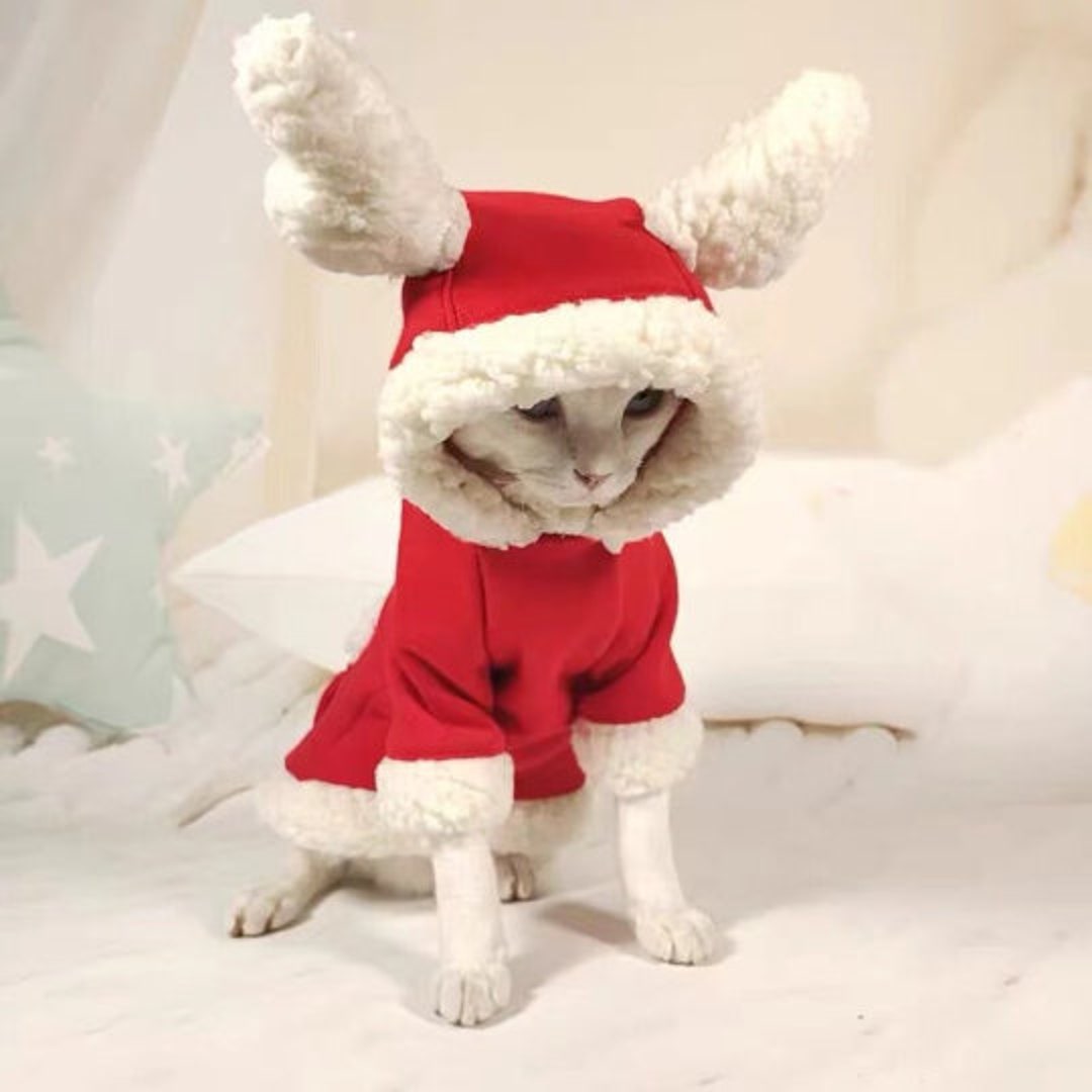 Cat Christmas Costume
 Cozy Christmas Costume for Cat Cat Christmas Costume for Etsy