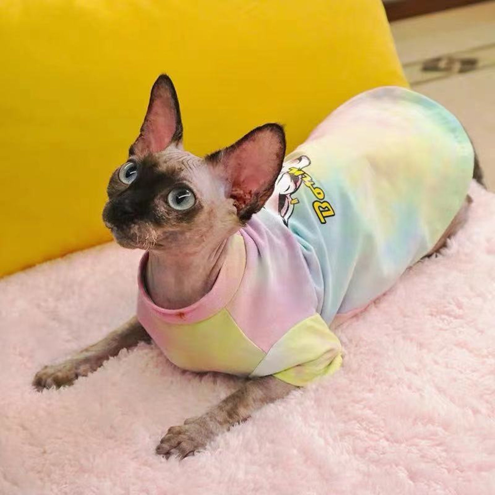 Customize Sphynx Cat Clothes Tiedye Cool Cat Head Stickers Etsy