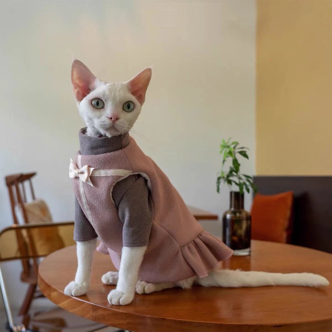 Sphynx Outfit Cozy Dress Sphynx Cat Clothes in Winter Etsy