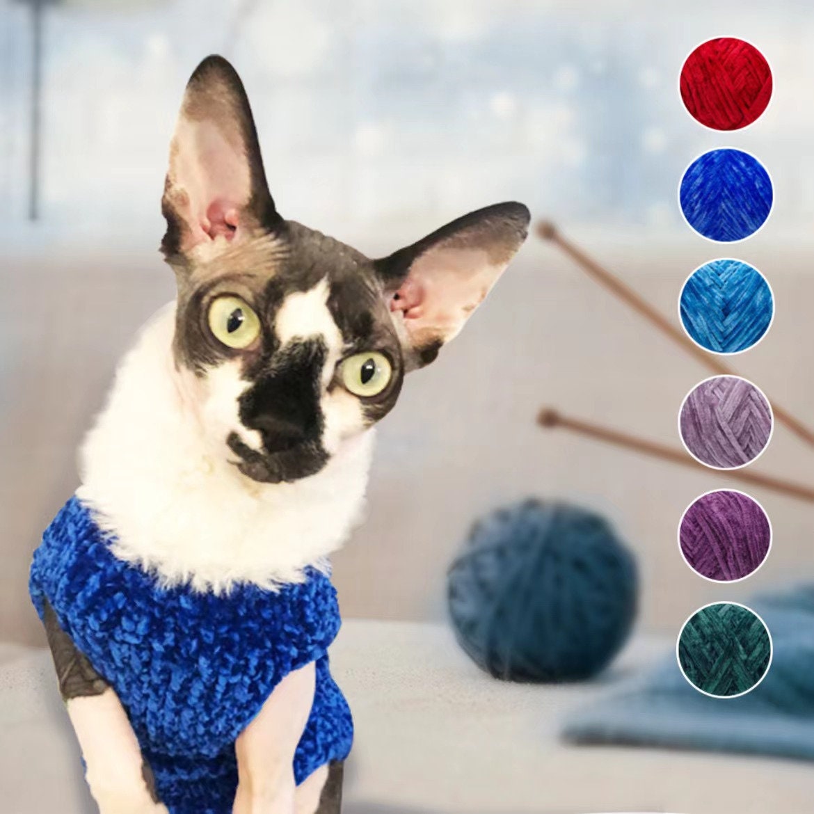devon rex sweater