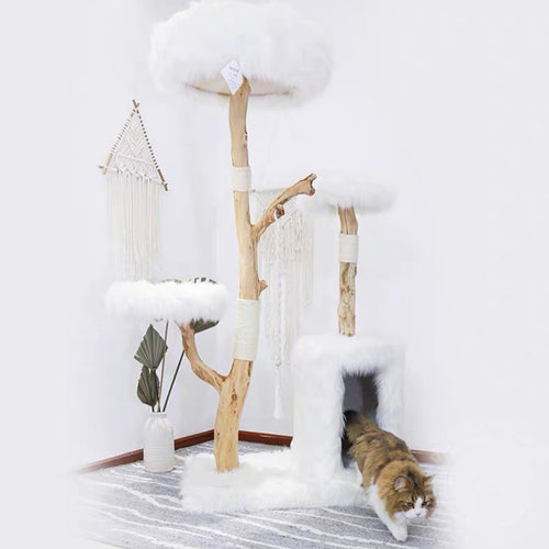 flea shampoo for humans walgreens