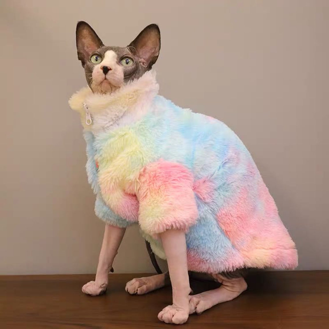 Sphynx Cat Winter Plus Velvet Thick Warm Jacket High Collar Etsy