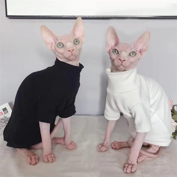  Sphynx Cat Clothes Winter Velvet Warm Soft Winter Jacket  Thickened Hairless Cat Coat for Sphynx, Cornish Rex, Devon Rex, Peterbald  Cat Clothes (Under Sweater, XL) : Pet Supplies