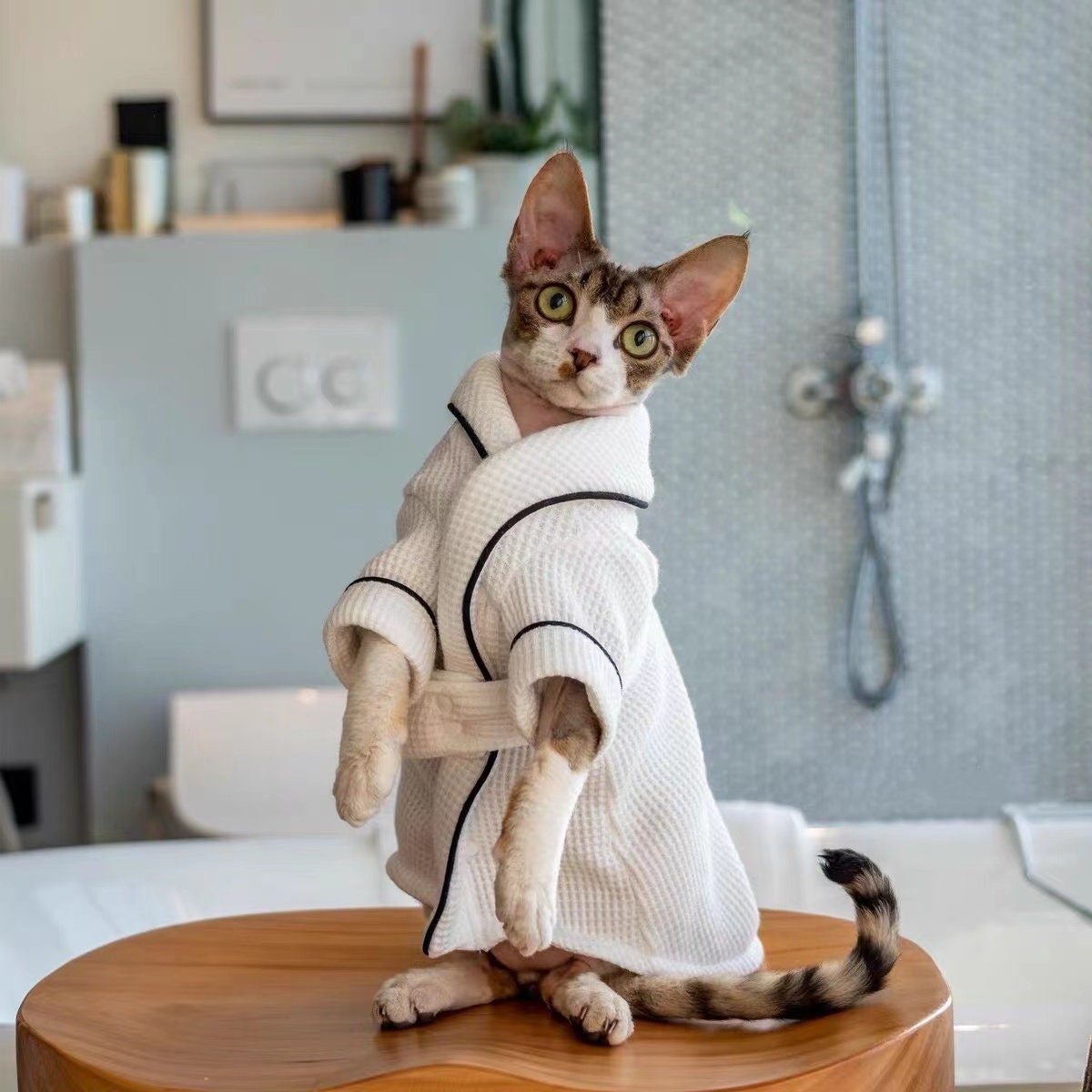 Sphynx Cat Bathrobe Bath Towel for Hairless Cat and Devon Rex - Etsy