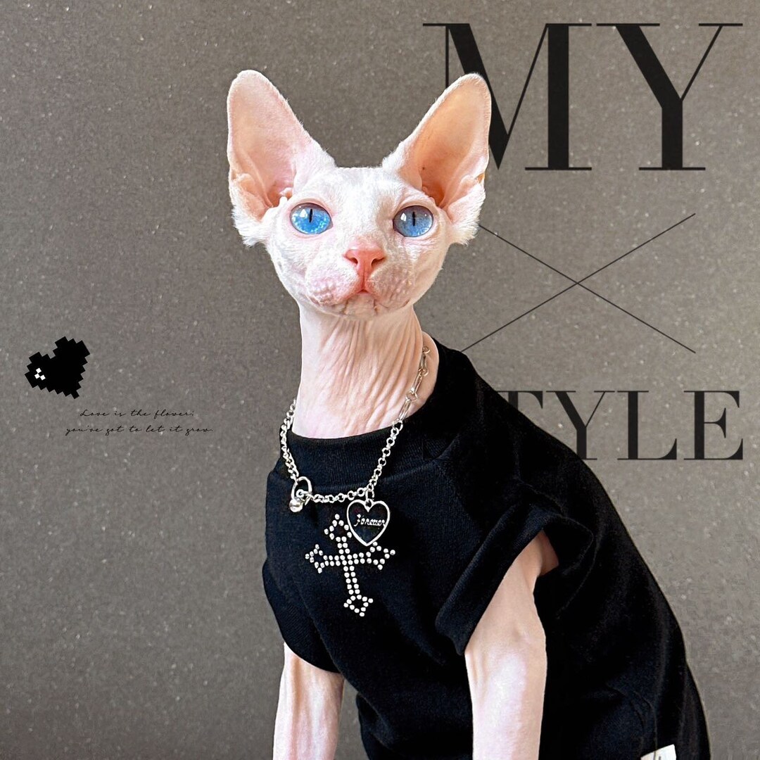 Cat Cloth Sphynx Outfit Sphynx Cat Clothes in Spring Etsy
