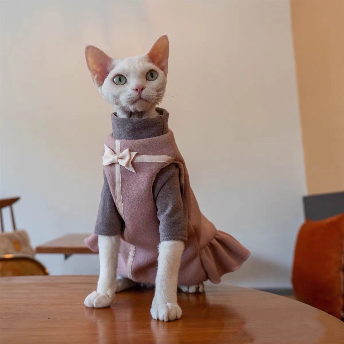 Sphynx Outfit Cozy Dress Sphynx Cat Clothes in Winter Etsy