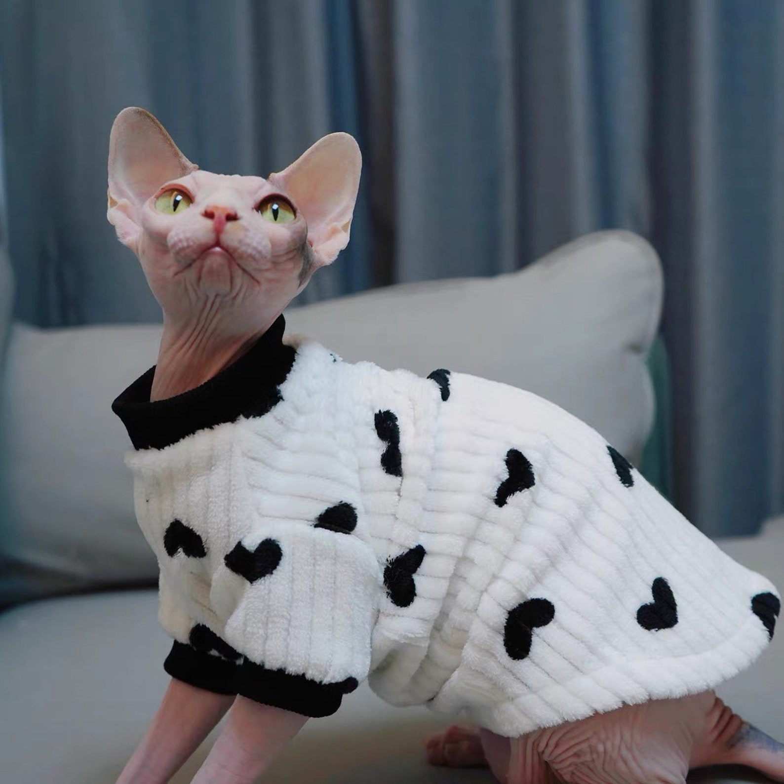 Cat Cloth Sphynx Outfit Sweater Cozy Jumper Sphynx Cat Etsy