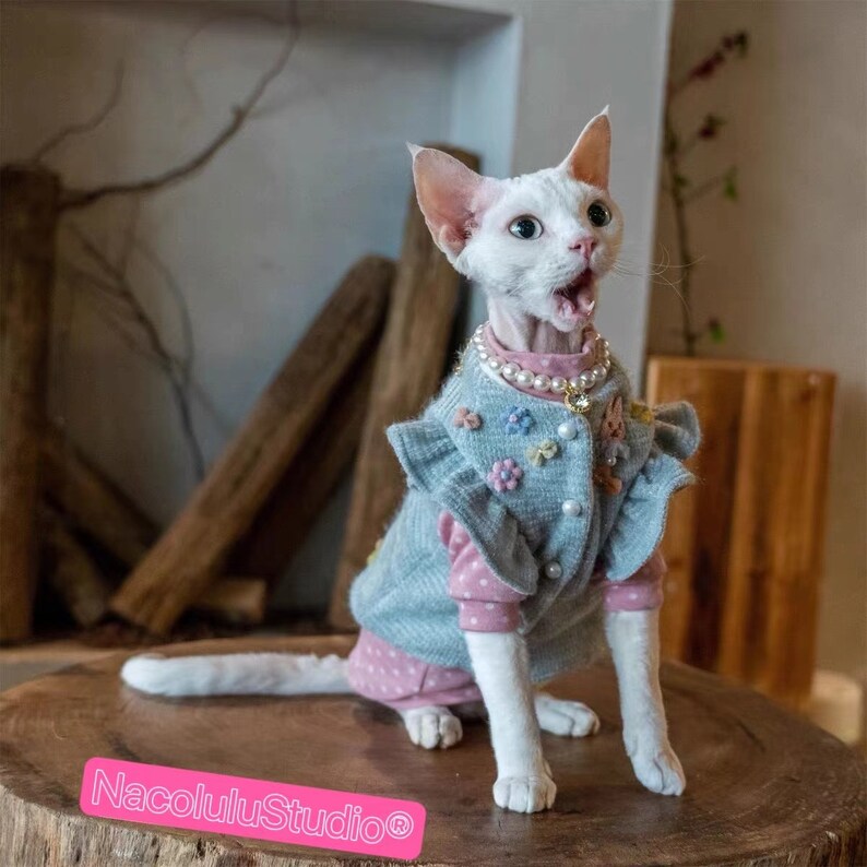 Sphynx Outfit Sweater Cozy Vest Sphynx Cat Clothes in Winter Etsy