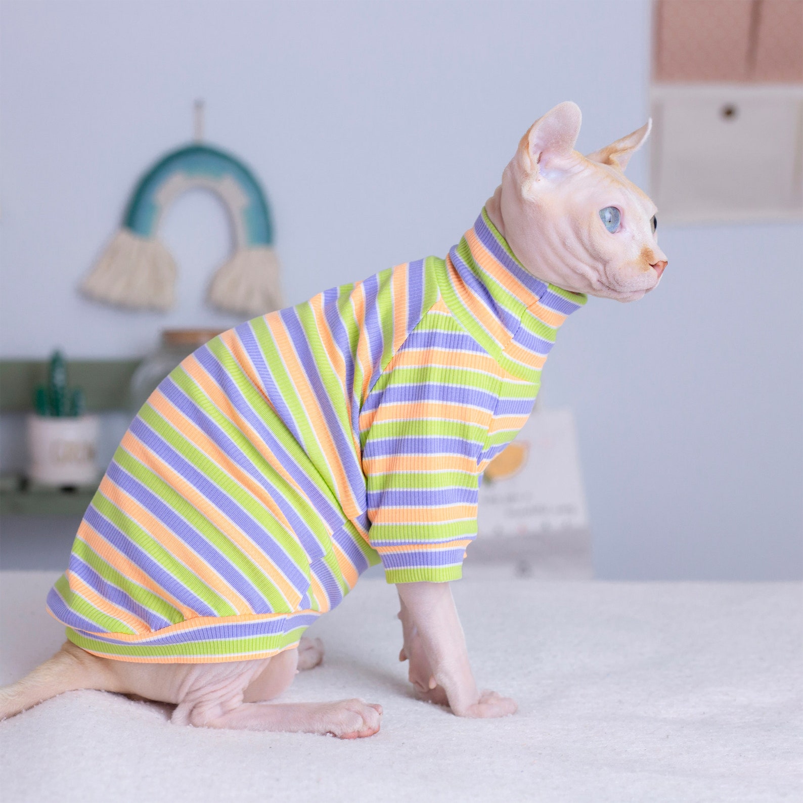 Sphynx Cat Tshirt Thin Spring and Summer Cat Simple Striped Etsy