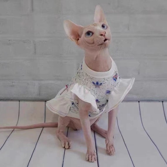 Sphynx Cat Summer Skirt Thin for Hairless Cat and Devon Rex - Etsy Denmark Sphynx Cat Summer Skirt Thin for Hairless Cat and Devon Rex - Etsy Denmark