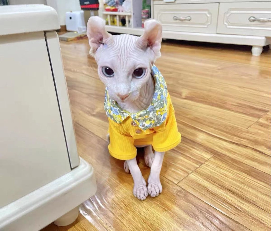 Sphynx cat Floral collar summer thin section for hairless cat Etsy 日本