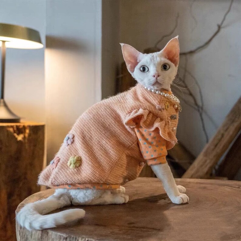 Sphynx Outfit Sweater Cozy Vest Sphynx Cat Clothes in Winter Etsy