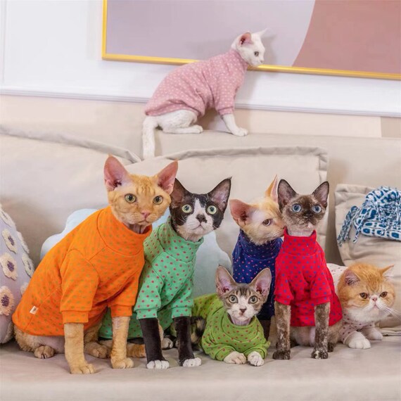 Customize Sphynx Cat Candy Color Outfit Spring Autumn Etsy
