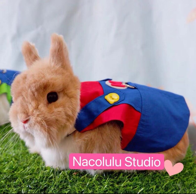Bunny Clothes Customize for Small Pets Cloth for Rabbit Etsy