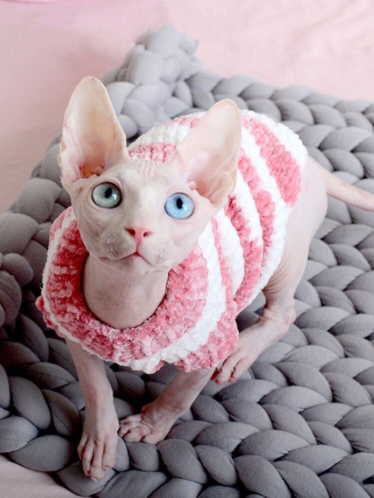 L, Purple Khemn Luxury 丨HANDMADE 丨Soft Skin-Friendly Warm Cat Tweed Sweater Cat Knitwear Cat Coat Cat Pajamas Cat Clothes-Best for Hairless Cat 