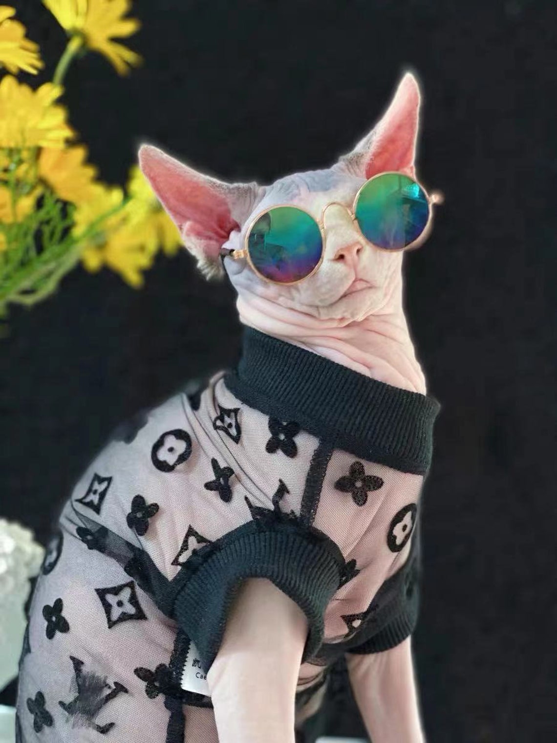 Sphynx Sun protection clothing for Hairless cat Devon Rex Etsy