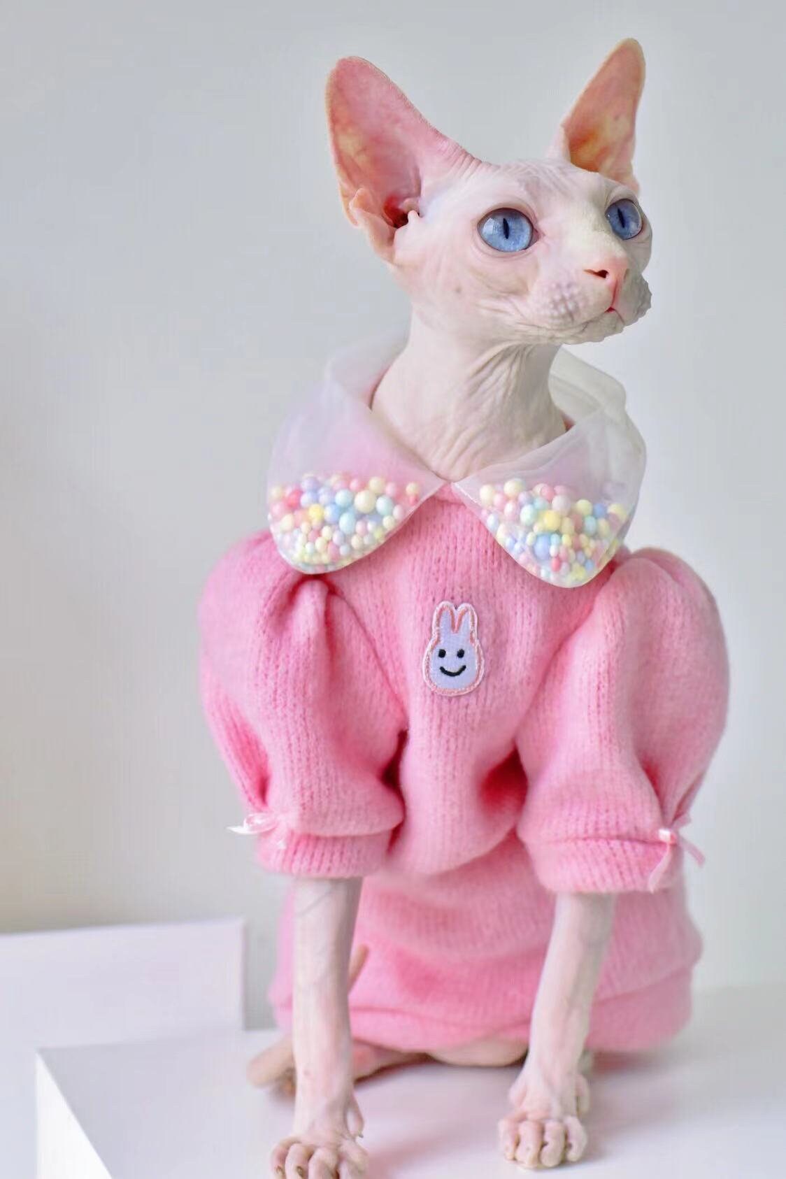 Spring Autumn Wearing Cat Apparel Kitten Jumper Hairless Cat Outfits