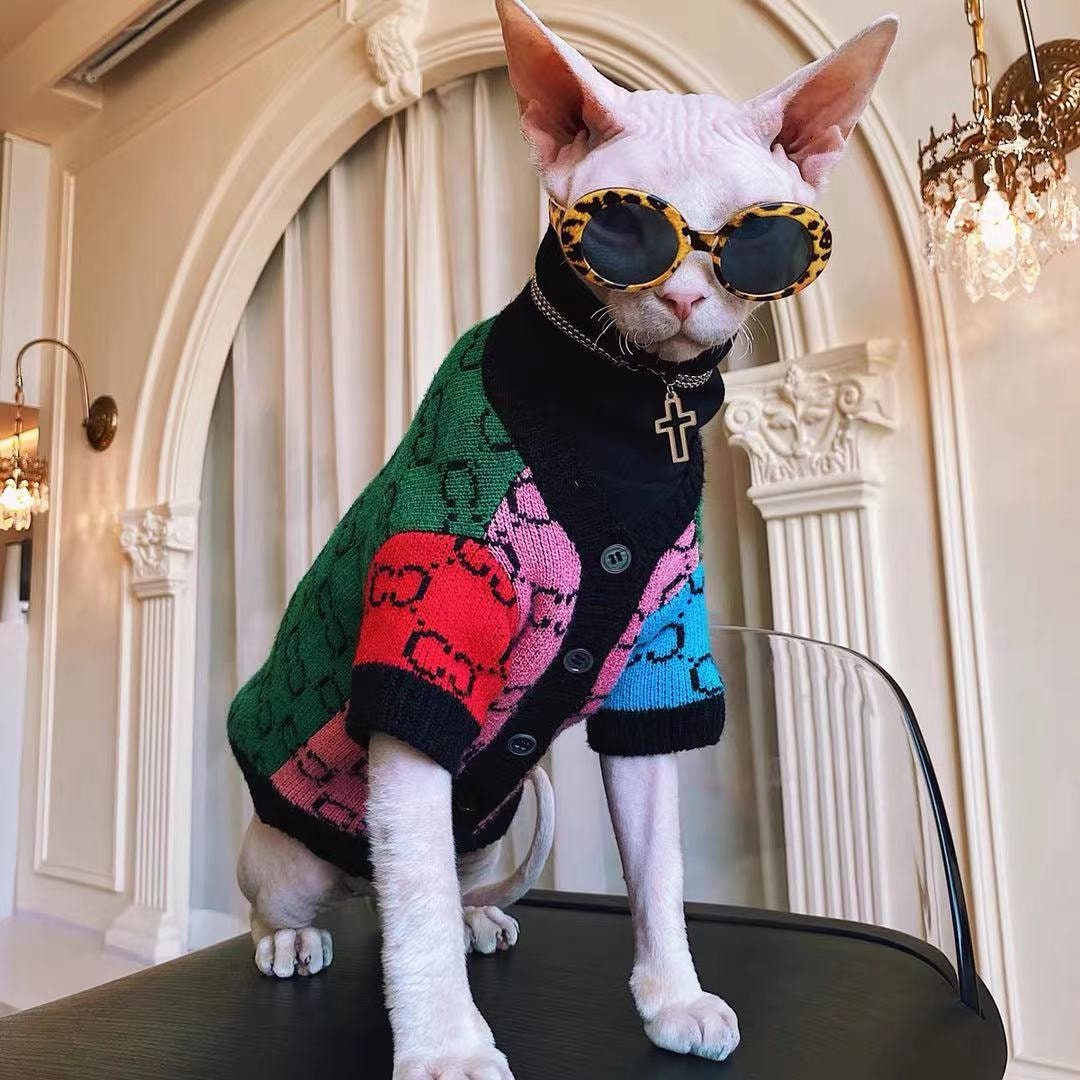 Gucci Cat Clothes  Luxury Gucci Coat for Sphynx Hairless Cat ?