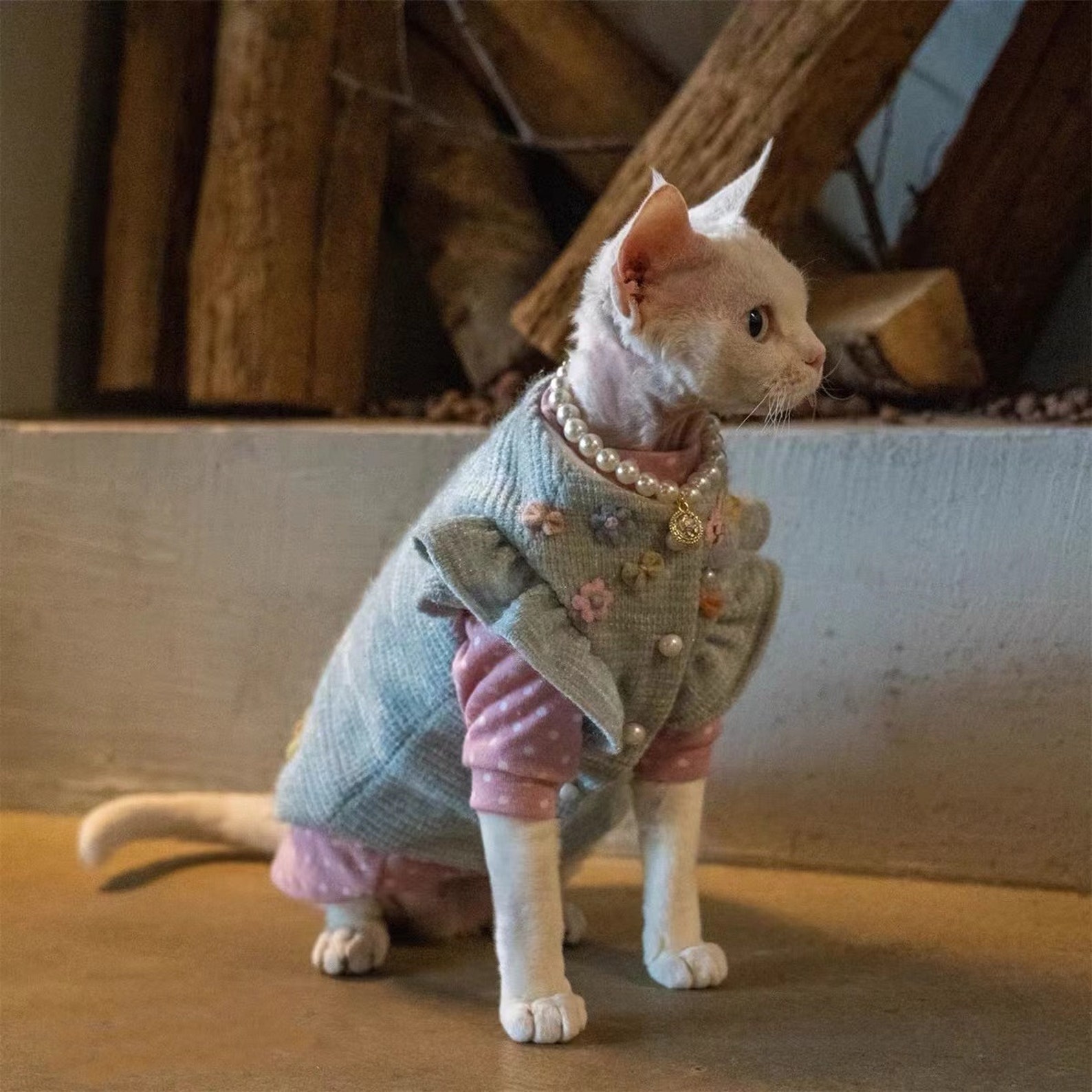 Sphynx Outfit Sweater Cozy Vest Sphynx Cat Clothes in Winter Etsy