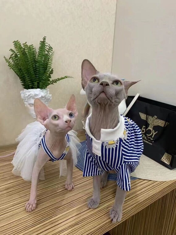etsy sphynx clothes