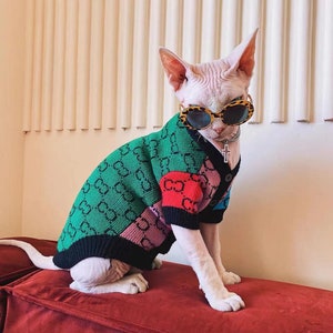 Customize Sphynx Hairless Cat Devon Rex Contrast Color - Etsy