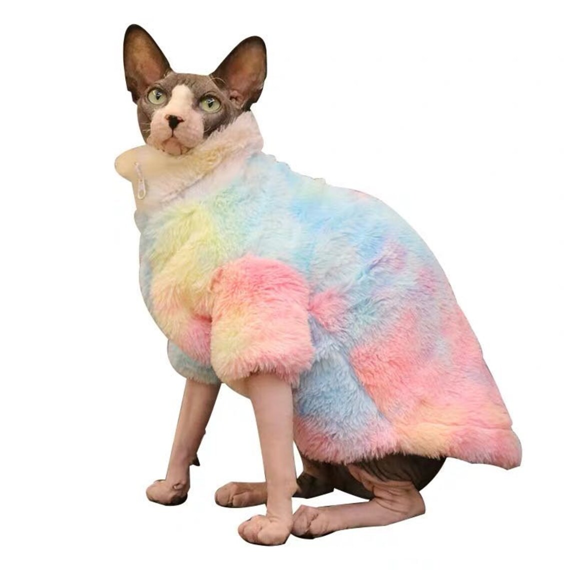 Sphynx Cat Winter Plus Velvet Thick Warm Jacket High Collar Etsy