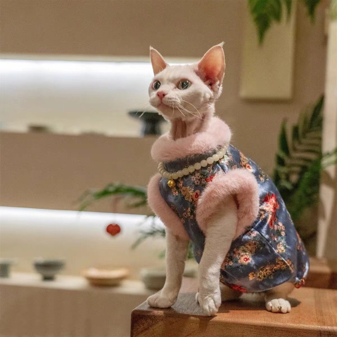 Sphynx Outfit Sweater Cozy Vest Sphynx Cat Clothes in Winter Etsy