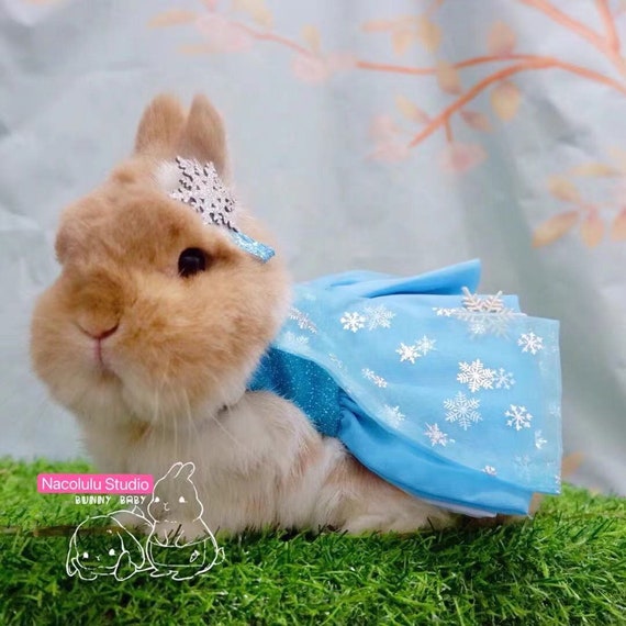 Customize Bunny Cloth Cosplay Queen Elsa Cloth for Rabbit - Etsy Australia