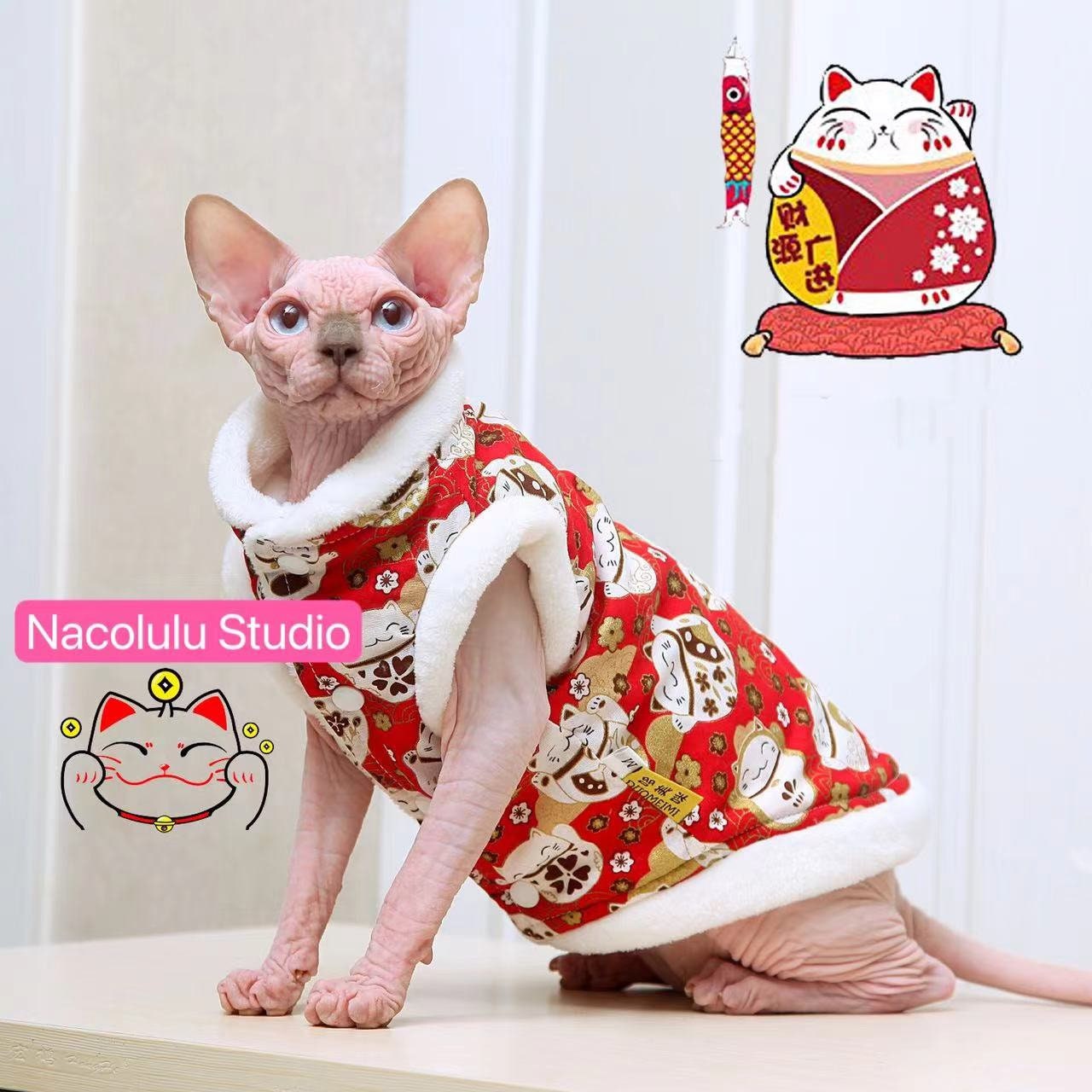 Customize Sphynx Hairless Cat Devon Rex Contrast Color -  Denmark