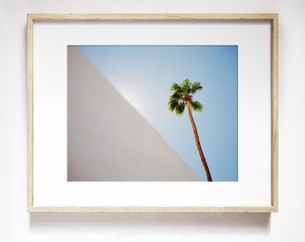 Palm Tree Skyline Wall Art | Tropical Photography Print | Vacation Travel Photography | Soaring Palm Tree Print | Palm Landscape Wall Art
