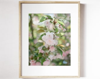 Cherry Blossom Wall Art | Pink Floral Photography | Cherry Blossom Tree Print | Floral Wall Art | Spring Flower Print