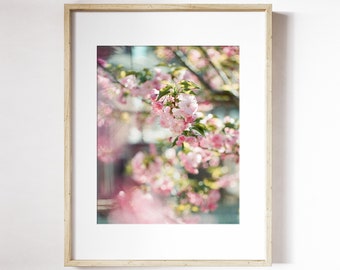 Cherry Blossom Tree Print | Pink and White Floral Photography | Cherry Blossom Flower Art | Floral Wall Art | Spring Flower Print