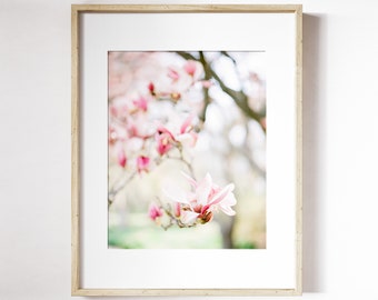 Magnolia Blossom Print | Magnolia Tree Floral Wall Art | Blooming Floral Wall Art | White Magnolia Photo Print | Spring Flower Print