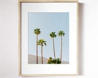 Palm Tree Wall Art |  Tropical Photography Print | Vacation Travel Photography | Palm Springs Skyline Print | Tropical Skyline Wall Art