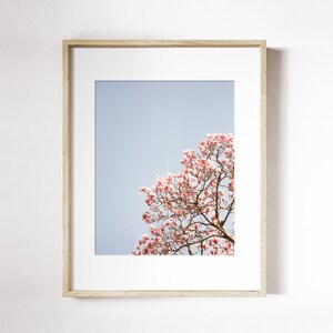 Détail de Pink Blooming Magnolia Flower Print | Magnolia Tree Floral Wall Art | Art mural de fleur de printemps | Impression photo rose blanc magnolia
