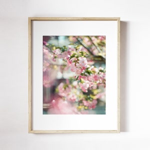 Cherry Blossom Tree Print | Pink and White Floral Photography | Cherry Blossom Flower Art | Floral Wall Art | Spring Flower Print