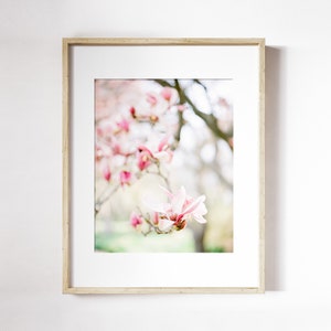 Magnolia Blüte Druck | Magnolia Baum Floral Wandkunst | Blühende Blumen Wandkunst | Weiße Magnolia Fotodruck | Frühling Blume Druck