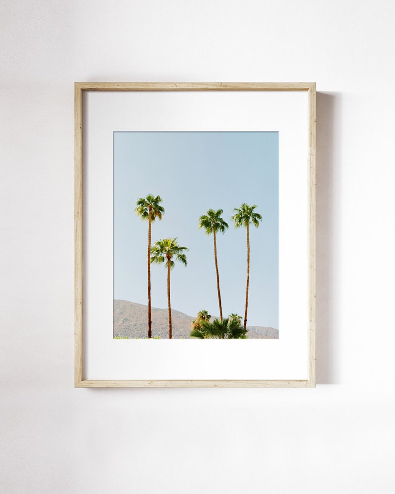 Palm Tree Wall Art Tropical Photography Print Vacation Travel Photography Palm Springs Skyline Print Tropical Skyline Wall Art image 1