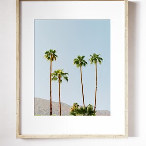 Palm Tree Wall Art Tropical Photography Print Vacation Travel Photography Palm Springs Skyline Print Tropical Skyline Wall Art image 3