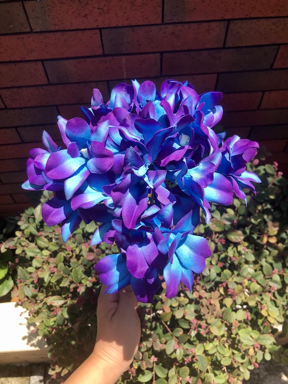 14.6’’ Galaxy Orchids Stemspurple Blue Galaxy Orchid - Etsy Australia