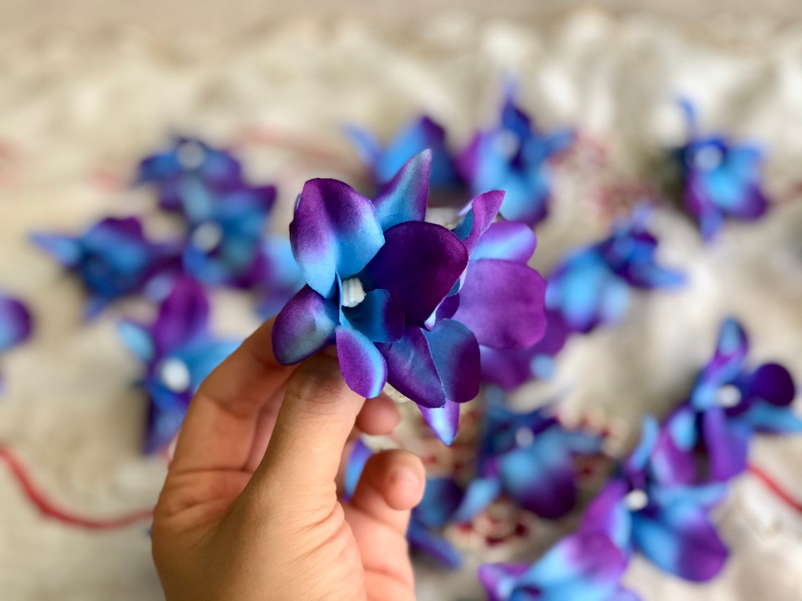 20pcs Galaxy Orchids Headpurple Blue Galaxy Orchid Orchids Etsy