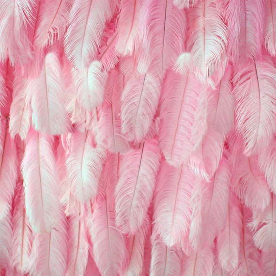 Feather Wall Decor - Floral - Pink - White - ApolloBox