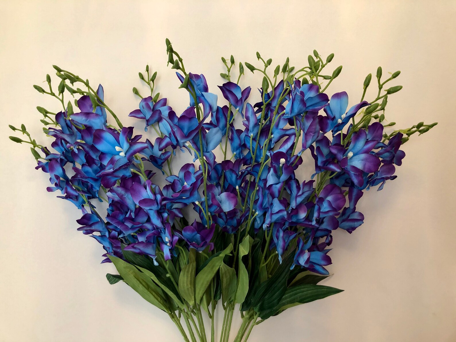 Galaxy Orchidspurple Blue Galaxy Orchid BLOOMS Stems Blue Etsy