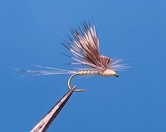 Light Cahill Tilt-Wing, 3-pack
