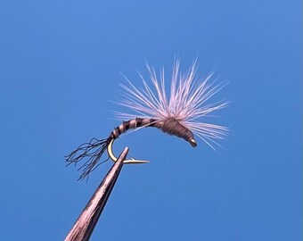 Quill Gordon Hackle Stacked Emerger, 3-pack