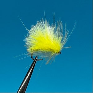 Cornfed yellow sally 3-pack