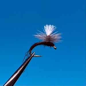 Little Blue Quill Parachute Emerger, confezione da 3